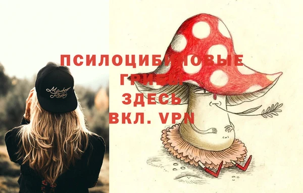 jwh Белокуриха
